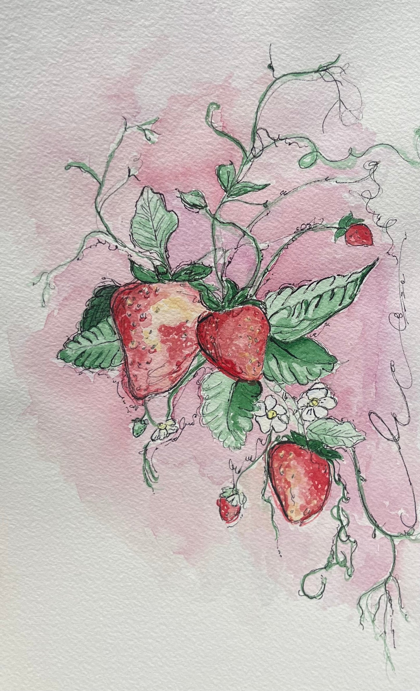 "Strawberries"