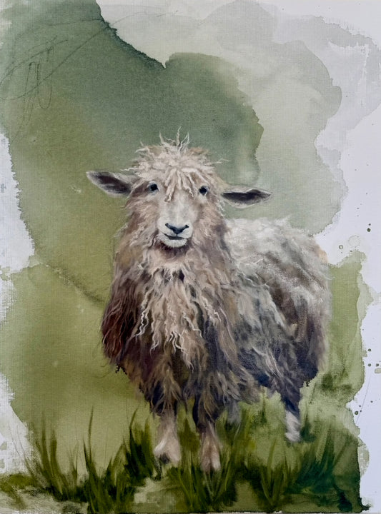 "Pastures of Peace"